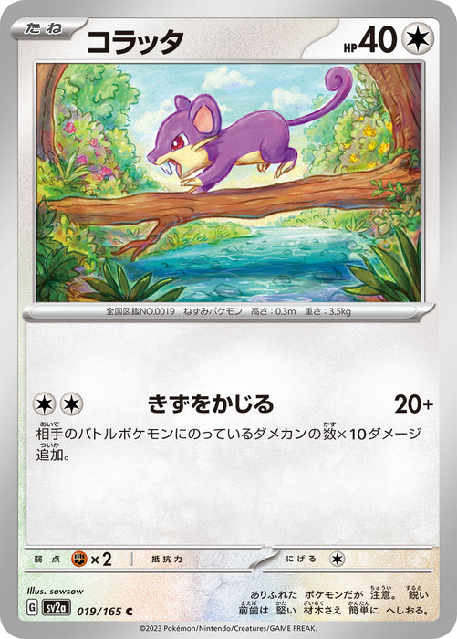 Pokemon Rattata (Non Holo) Pokemon 151 sv2a 019/165