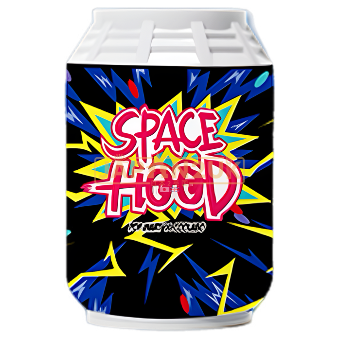 POP MART x Coolabu - Space Hood Blind Box