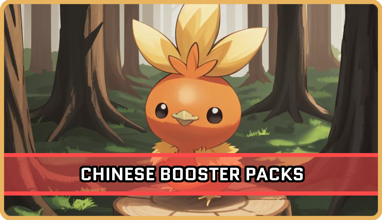 Pokemon Chinese Booster Packs