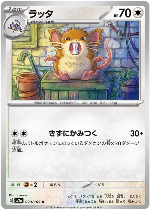 Pokemon Raticate (Non Holo) Pokemon 151 sv2a 020/165